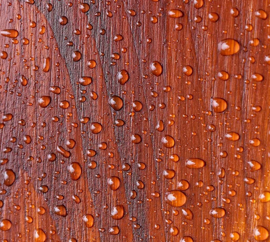 Water droplets on finished exterior wood door surface, showing water resistance and durable finish—highlighting best practices for weatherproof wood doors.