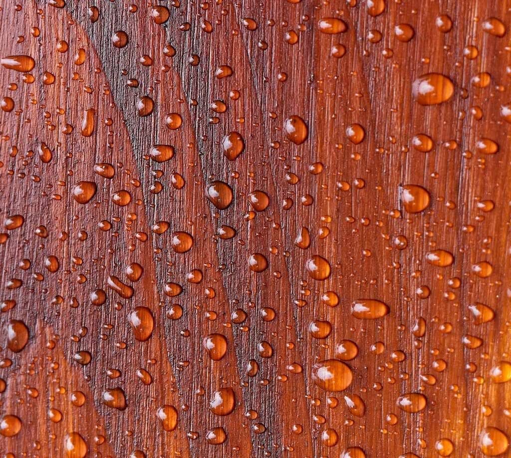 Water droplets on finished exterior wood door surface, showing water resistance and durable finish—highlighting best practices for weatherproof wood doors.